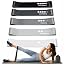 Active 100 Resistance Bands, Set of 5 Different Levels, Exercise Band for Home Gym, Training and Yoga with Carrying Bag